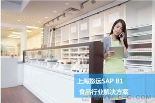 食品行业ERP管理 深耕上海的SAP代理商专业软件开发与实施服务