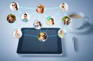 蓝盟观点 企业IT采购成本高？善用上海软件代理与开发，这一招助您显著降本增效