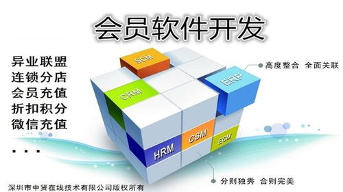 河源企业会员管理软件开发基本功能详解及上海软件代理与开发服务分析